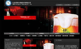 名域網絡 助力臨沂企業數字化轉型的專業建站與維護服務